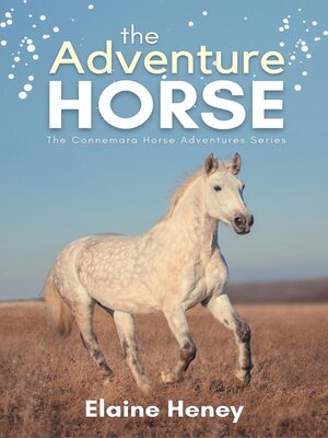 cover image of The Adventure Horse--Book 5 in the Connemara Horse Adventure Series for Kids